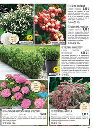 61. stránka Starkl letáku