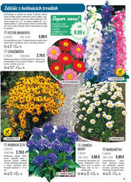 75. stránka Starkl letáku