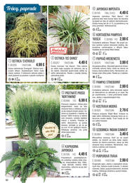 82. stránka Starkl letáku