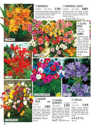 86. stránka Starkl letáku