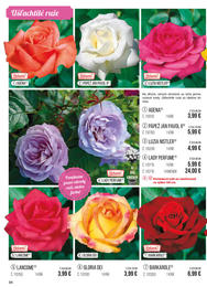 94. stránka Starkl letáku