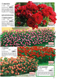 97. stránka Starkl letáku