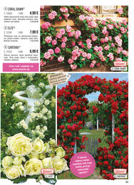 99. stránka Starkl letáku