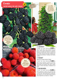 14. stránka Starkl letáku