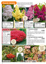 40. stránka Starkl letáku