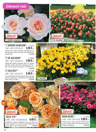 50. stránka Starkl letáku