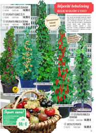 9. stránka Starkl letáku