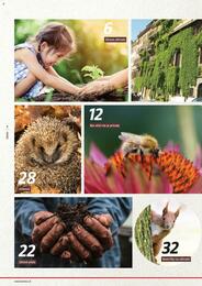 2. stránka BAUHAUS letáku