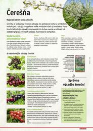 61. stránka BAUHAUS letáku