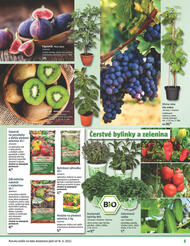 5. stránka BAUHAUS letáku