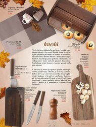 6. stránka Orion letáku